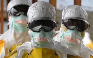 我省安全帽等五种劳动防护用品国家质量监督专项抽查情况分析